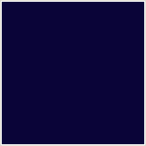 0A0438 Hex Color Image (BLACK ROCK, BLUE, MIDNIGHT BLUE)