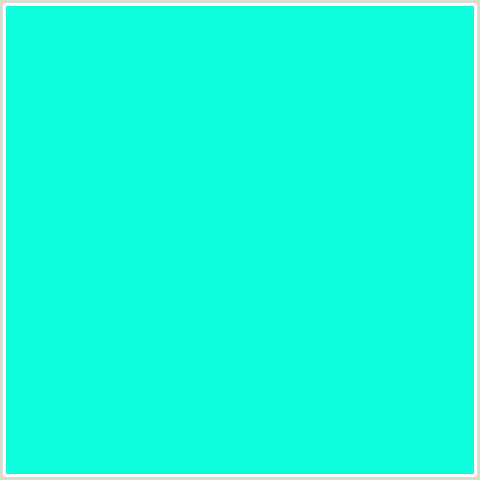 0DFFDB Hex Color Image (BLUE GREEN, BRIGHT TURQUOISE)