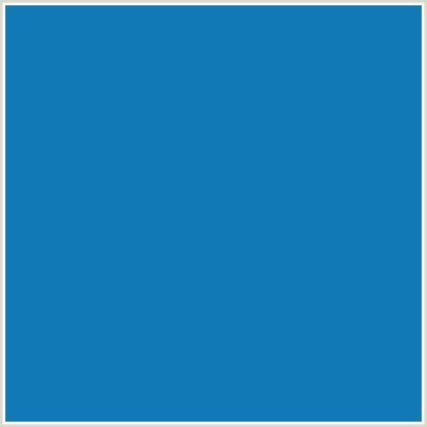 1179B5 Hex Color Image (BLUE, DENIM)
