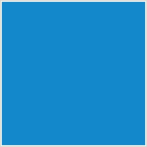 1389CC Hex Color Image (BLUE, DENIM)
