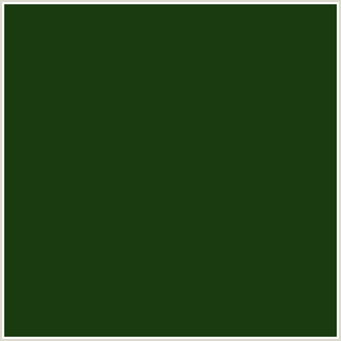 1A3A10 Hex Color Image (GREEN, PALM LEAF)