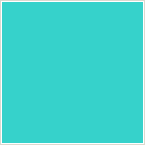 36D2CB Hex Color Image (AQUA, LIGHT BLUE, TURQUOISE)