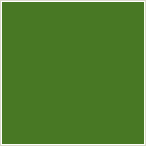 497825 Hex Color Image (FERN FROND, FOREST GREEN, GREEN)