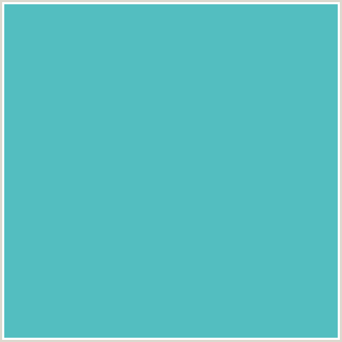 53BEC0 Hex Color Image (FOUNTAIN BLUE, LIGHT BLUE)