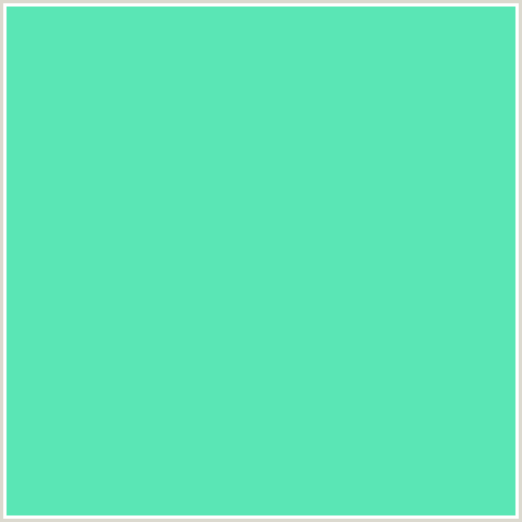 5AE6B5 Hex Color Image (GREEN BLUE, TURQUOISE BLUE)
