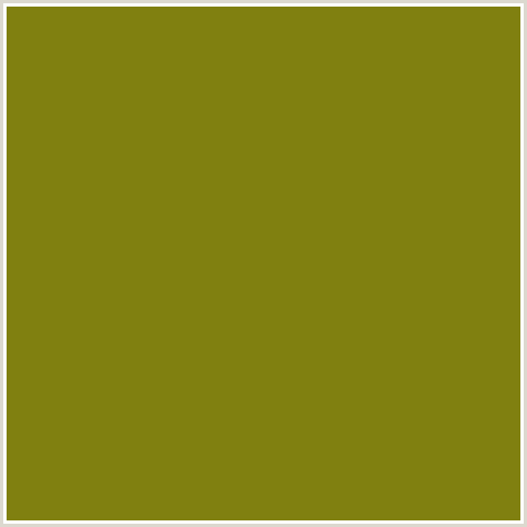 808010 Hex Color Image (OLIVE, OLIVETONE, YELLOW GREEN)