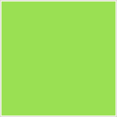 9AE053 Hex Color Image (CONIFER, GREEN)