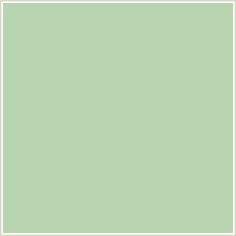 B9D4B1 Hex Color Image (GREEN, PIXIE GREEN)