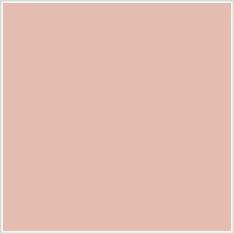 E5BCB0 Hex Color Image (RED ORANGE, ROSE FOG)