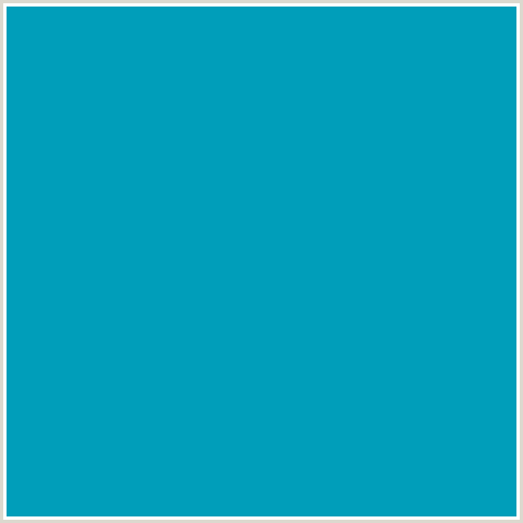 009EBA Hex Color Image (BONDI BLUE, LIGHT BLUE)