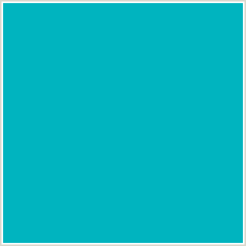 00B4BF Hex Color Image (LIGHT BLUE, PACIFIC BLUE)