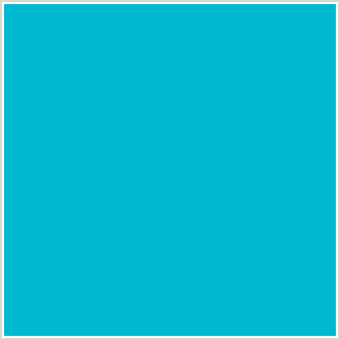 00B9D1 Hex Color Image (LIGHT BLUE, ROBINS EGG BLUE)