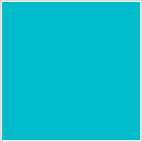 00BBC9 Hex Color Image (LIGHT BLUE, ROBINS EGG BLUE)