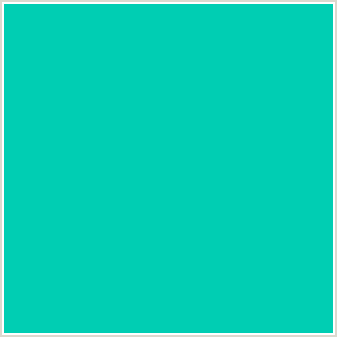 00CEB3 Hex Color Image (BLUE GREEN, ROBINS EGG BLUE)