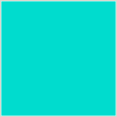 00DCCE Hex Color Image (AQUA, LIGHT BLUE, ROBINS EGG BLUE)