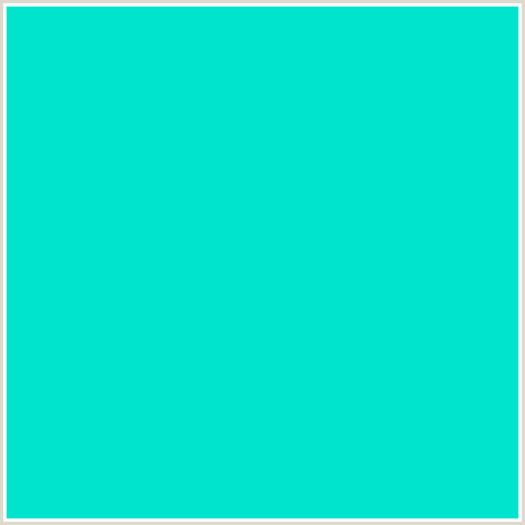 00E3CC Hex Color Image (BLUE GREEN, ROBINS EGG BLUE)