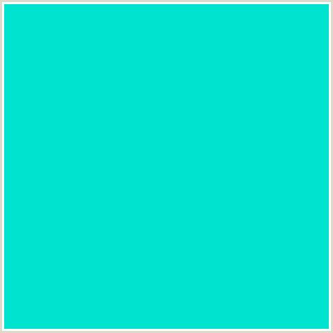 00E3CF Hex Color Image (AQUA, LIGHT BLUE, ROBINS EGG BLUE)