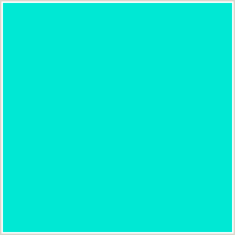 00E8D4 Hex Color Image (AQUA, BRIGHT TURQUOISE, LIGHT BLUE)