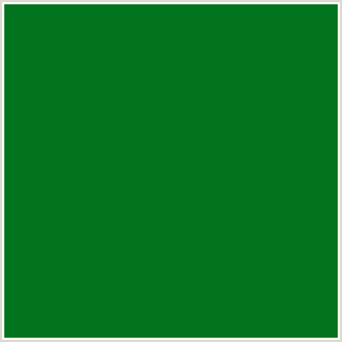 01741D Hex Color Image (FOREST GREEN, FUN GREEN, GREEN)