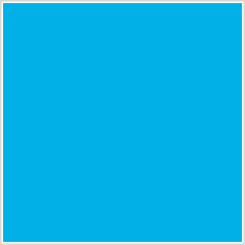 01B0E7 Hex Color Image (CERULEAN, LIGHT BLUE)