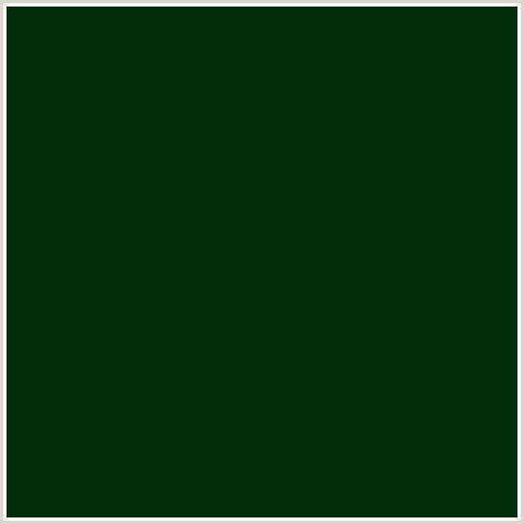 022D09 Hex Color Image (ENGLISH HOLLY, GREEN)
