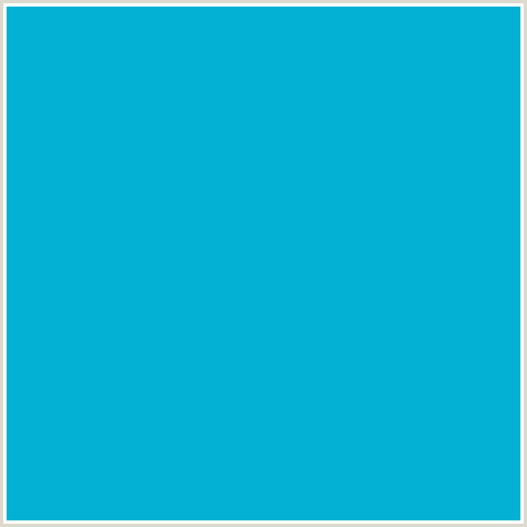 02B1D4 Hex Color Image (CERULEAN, LIGHT BLUE)