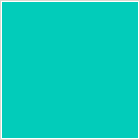 02CCBA Hex Color Image (AQUA, LIGHT BLUE, ROBINS EGG BLUE)