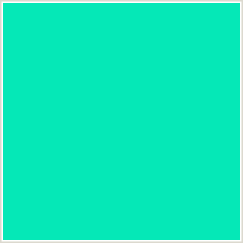 05E8B7 Hex Color Image (BLUE GREEN, BRIGHT TURQUOISE)