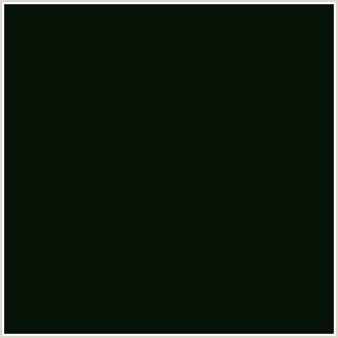 061408 Hex Color Image (BLACK BEAN, GREEN)