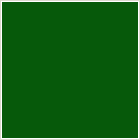 06590A Hex Color Image (GREEN, SAN FELIX)