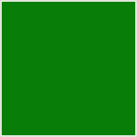 087D08 Hex Color Image (FOREST GREEN, GREEN, JAPANESE LAUREL)