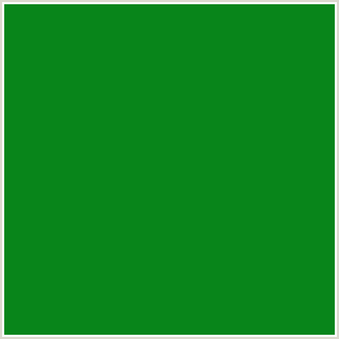 08851A Hex Color Image (FOREST GREEN, GREEN, JAPANESE LAUREL)