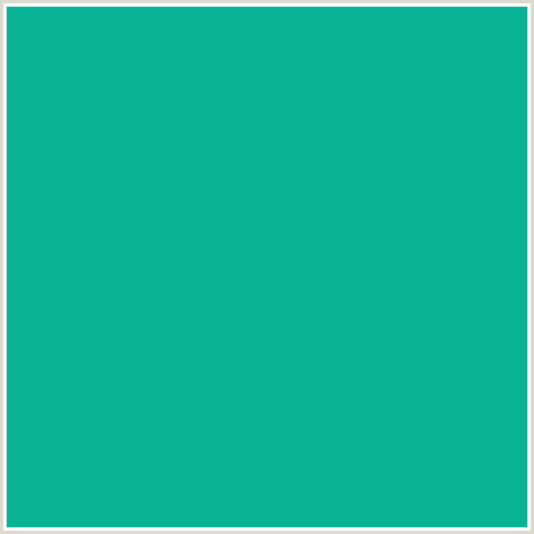 08B294 Hex Color Image (BLUE GREEN, NIAGARA)