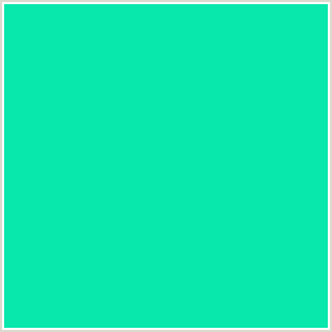 08E7AC Hex Color Image (BLUE GREEN, CARIBBEAN GREEN)