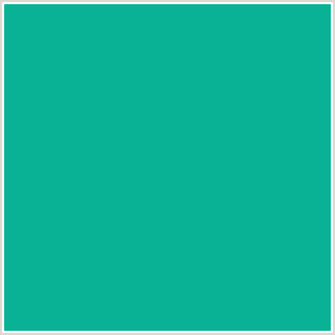 09B295 Hex Color Image (BLUE GREEN, NIAGARA)