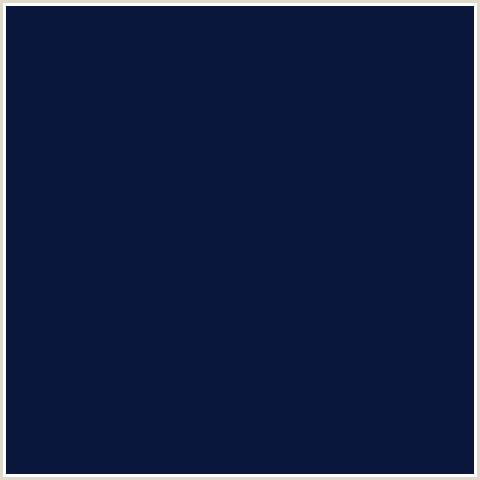 0A163B Hex Color Image (BLACK PEARL, BLUE, MIDNIGHT BLUE)