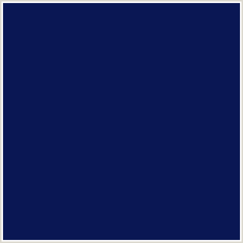 0A1754 Hex Color Image (BLUE, DOWNRIVER, MIDNIGHT BLUE)