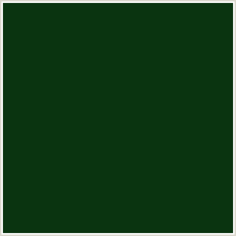 0A3410 Hex Color Image (BOTTLE GREEN, GREEN)