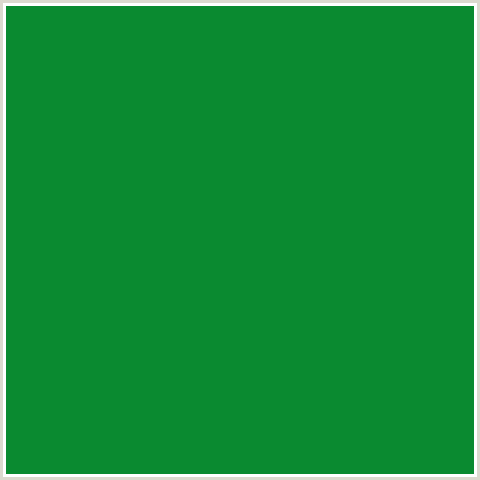0A8A30 Hex Color Image (FOREST GREEN, GREEN, SALEM)