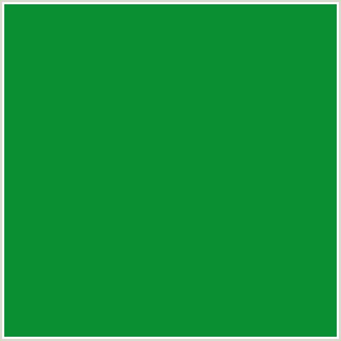 0A8F32 Hex Color Image (FOREST GREEN, GREEN, SALEM)
