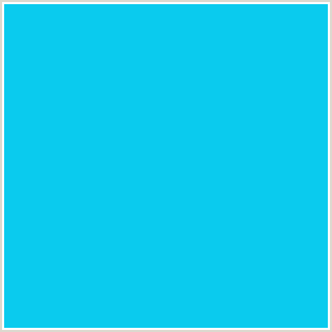0ACBEE Hex Color Image (BRIGHT TURQUOISE, LIGHT BLUE)