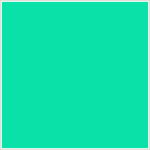 0AE1A8 Hex Color Image (BLUE GREEN, CARIBBEAN GREEN)