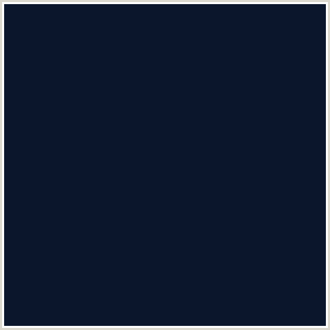 0B162C Hex Color Image (BLUE, FIREFLY, MIDNIGHT BLUE)