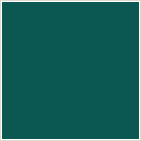 0B5852 Hex Color Image (AQUA, DEEP SEA GREEN, LIGHT BLUE)