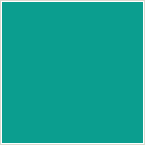 0B9E8F Hex Color Image (BLUE GREEN, NIAGARA)