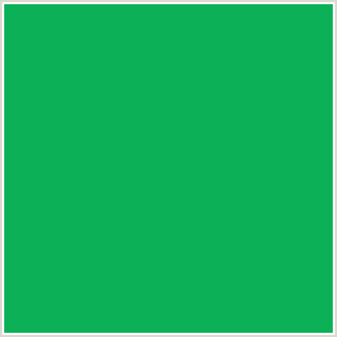0BB057 Hex Color Image (GREEN BLUE, GREEN HAZE)