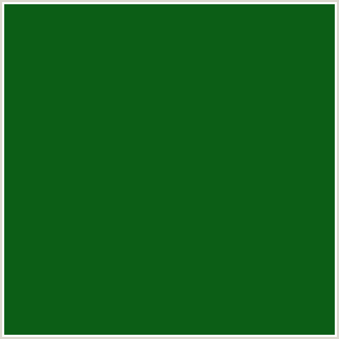 0C5E16 Hex Color Image (DARK FERN, GREEN)