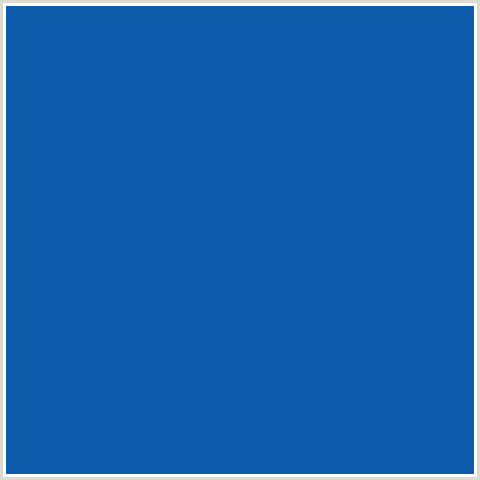 0D5CAB Hex Color Image (BLUE, TORY BLUE)