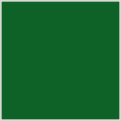 0E6127 Hex Color Image (GREEN, JEWEL)