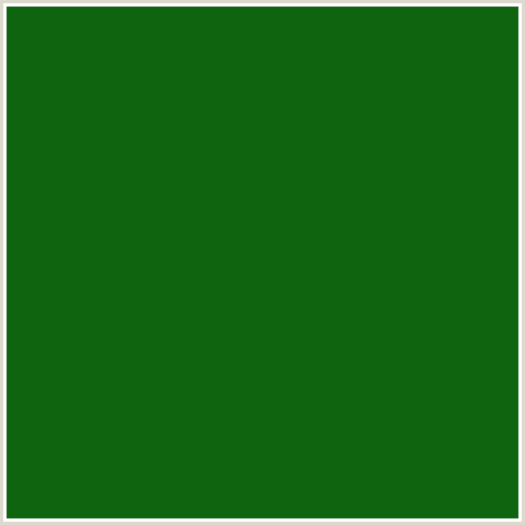 0F6410 Hex Color Image (DARK FERN, GREEN)